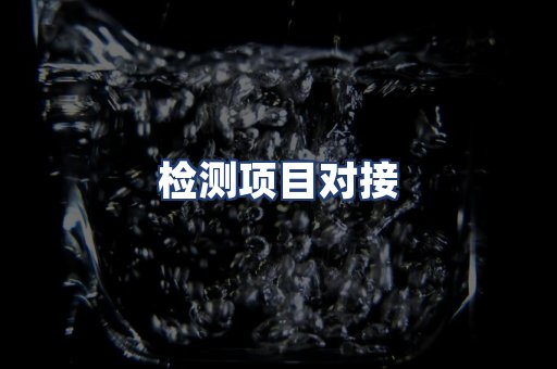 检测项目对接